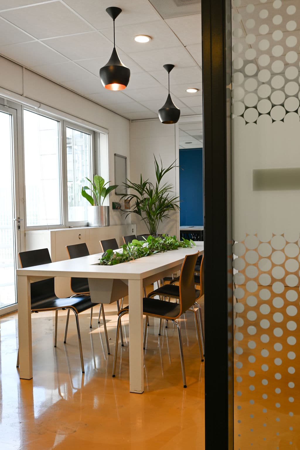 Modern conference room with a white table, black chairs, hanging lights, and indoor plants near large windows and a glass door.