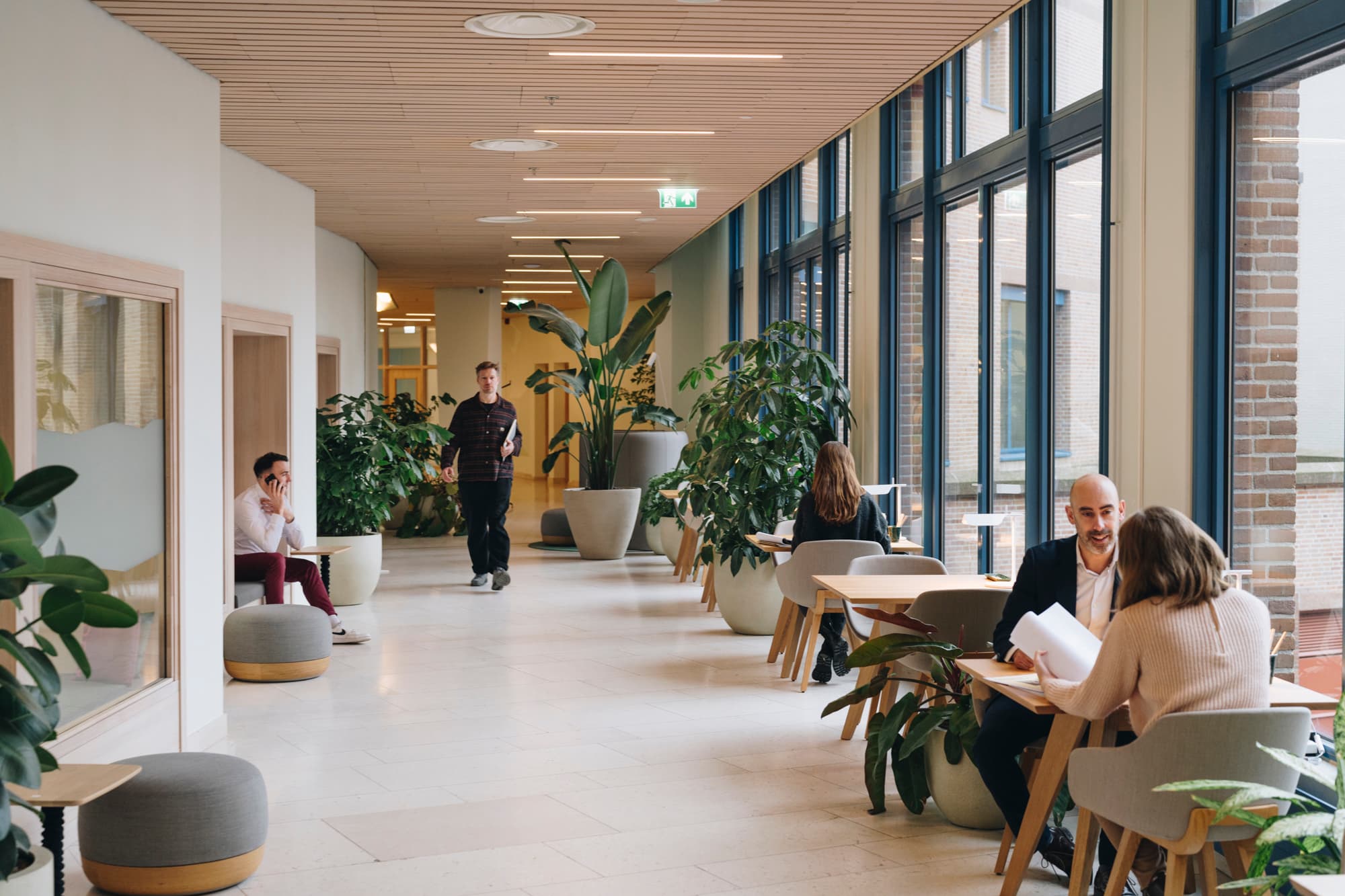 Modern office hallway with people sitting and talking at tables, large potted plants, and natural light from windows on the right.
