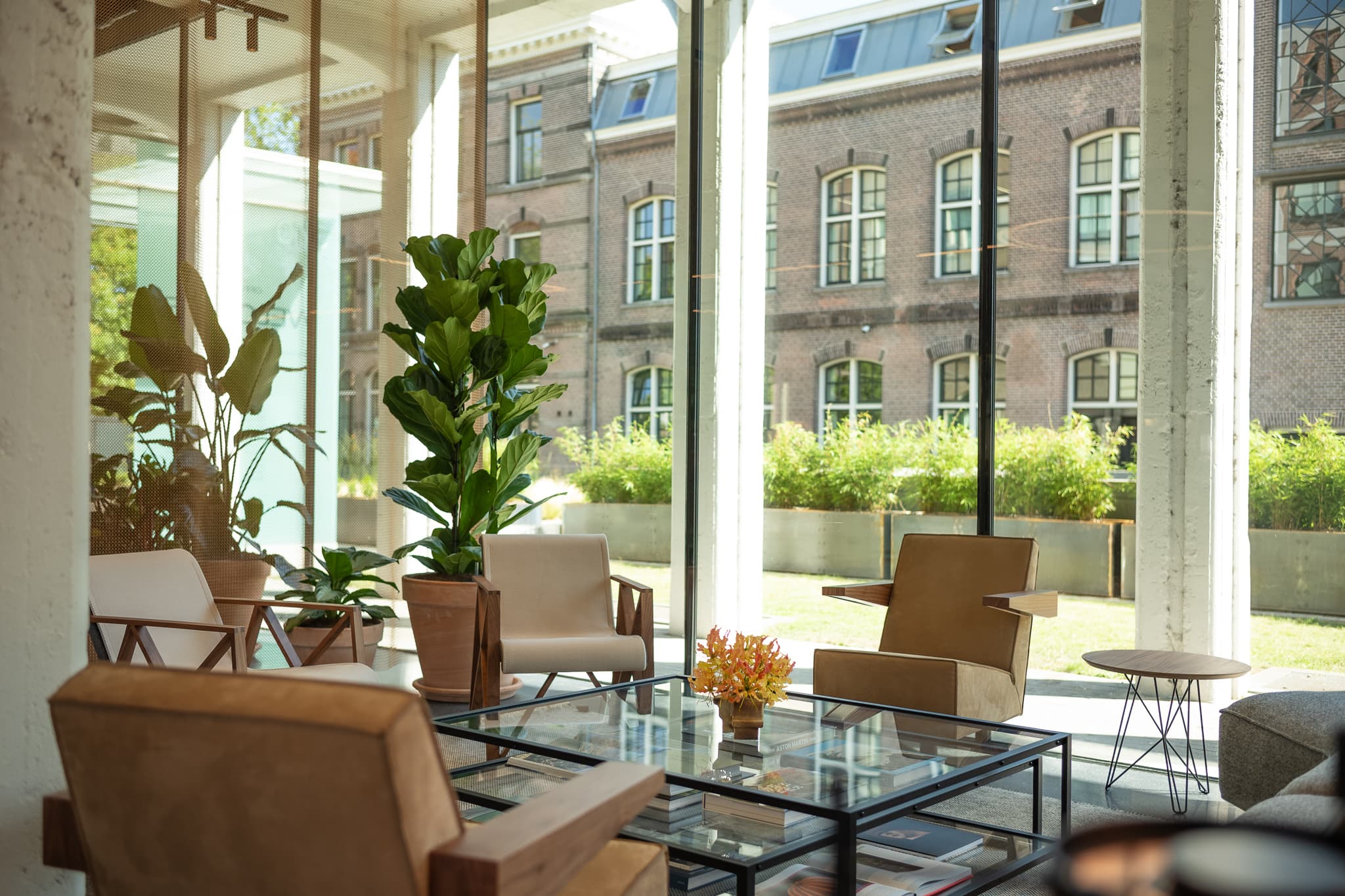 Modern office lounge area with beige chairs, glass coffee table, and potted plants. Large windows reveal a view of a brick building and greenery outside.