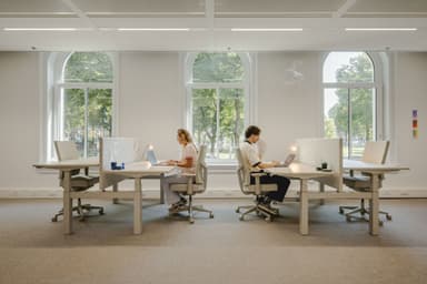 Spacious, empty room with large arched windows, beige carpet, and white walls, allowing natural light to fill the space.