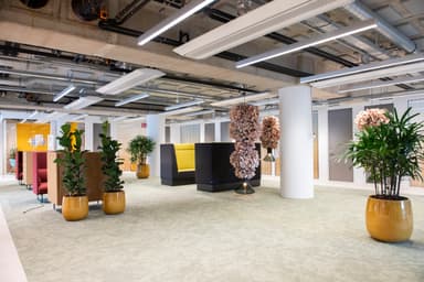 Modern office space with open layout, featuring bright seating areas, large plants in yellow pots, decorative hanging fixtures, and exposed ceilings.